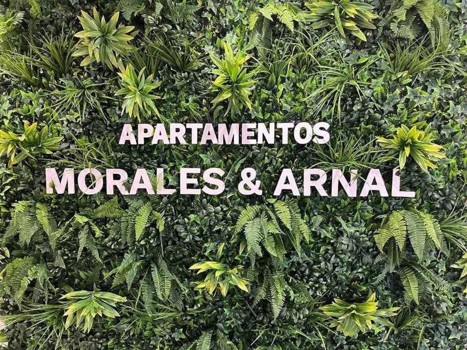 XXI E Apartamentos Morales & Arnal Ronda Exterior photo